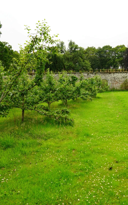 Cluny_Community_Walled_Garden